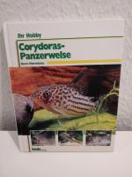 Panzerwelse, Corydoras, Bede Verlag Niedersachsen - Ihlow Vorschau