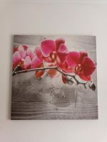 Wandbild Orchidee für Küche/ Wohnzimmer/ Schlafzimmer Baden-Württemberg - Heidelberg Vorschau