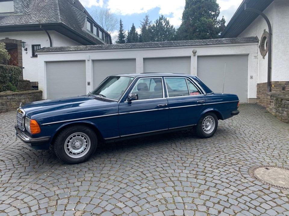 Mercedes-Benz  230 E W123 in Köln