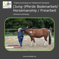 Bodenarbeit / Horsemanship / Freiarbeit Kurs 25.08.2024 Nordrhein-Westfalen - Sonsbeck Vorschau