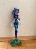 Monster High Puppe Clawdeen (das große Schreckensriff) Hessen - Eppstein Vorschau