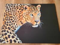 Wandbild Leopard Niedersachsen - Lüneburg Vorschau