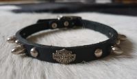 Harley Davidson Hundehalsband für kleine Hunde Brandenburg - Pritzwalk Vorschau