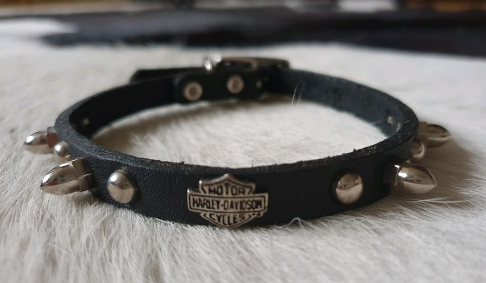 Harley Davidson Hundehalsband für kleine Hunde in Pritzwalk