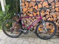 Mountainbike 26" neu bereift Baden-Württemberg - Hardheim Vorschau