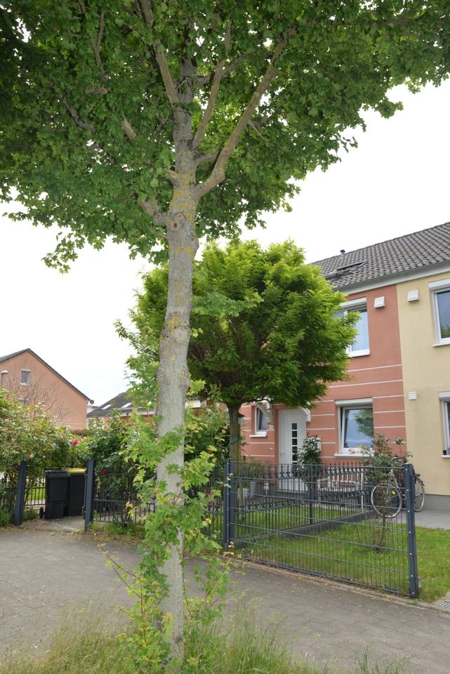 Reihenmittelhaus in Köln Merheim in Köln