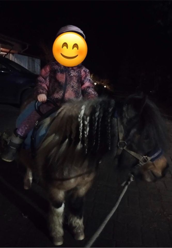 Reitbeteiligung für Pony gesucht Mutter-Kind-Gespann Ponyreiten in Helmstedt