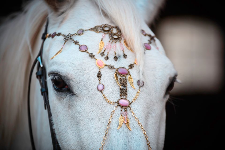 Kindergeburtstag im Reitstall ! Ponyreiten , Ausreiten, Party in Rümpel