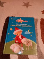 Unser Sandmännchen Gute Nacht Geschichten Kinderbuch Schleswig-Holstein - Bahrenfleth Vorschau