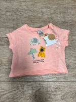 Baby - T-Shirt von charanga; Größe: 56-62 in apricot Niedersachsen - Braunschweig Vorschau