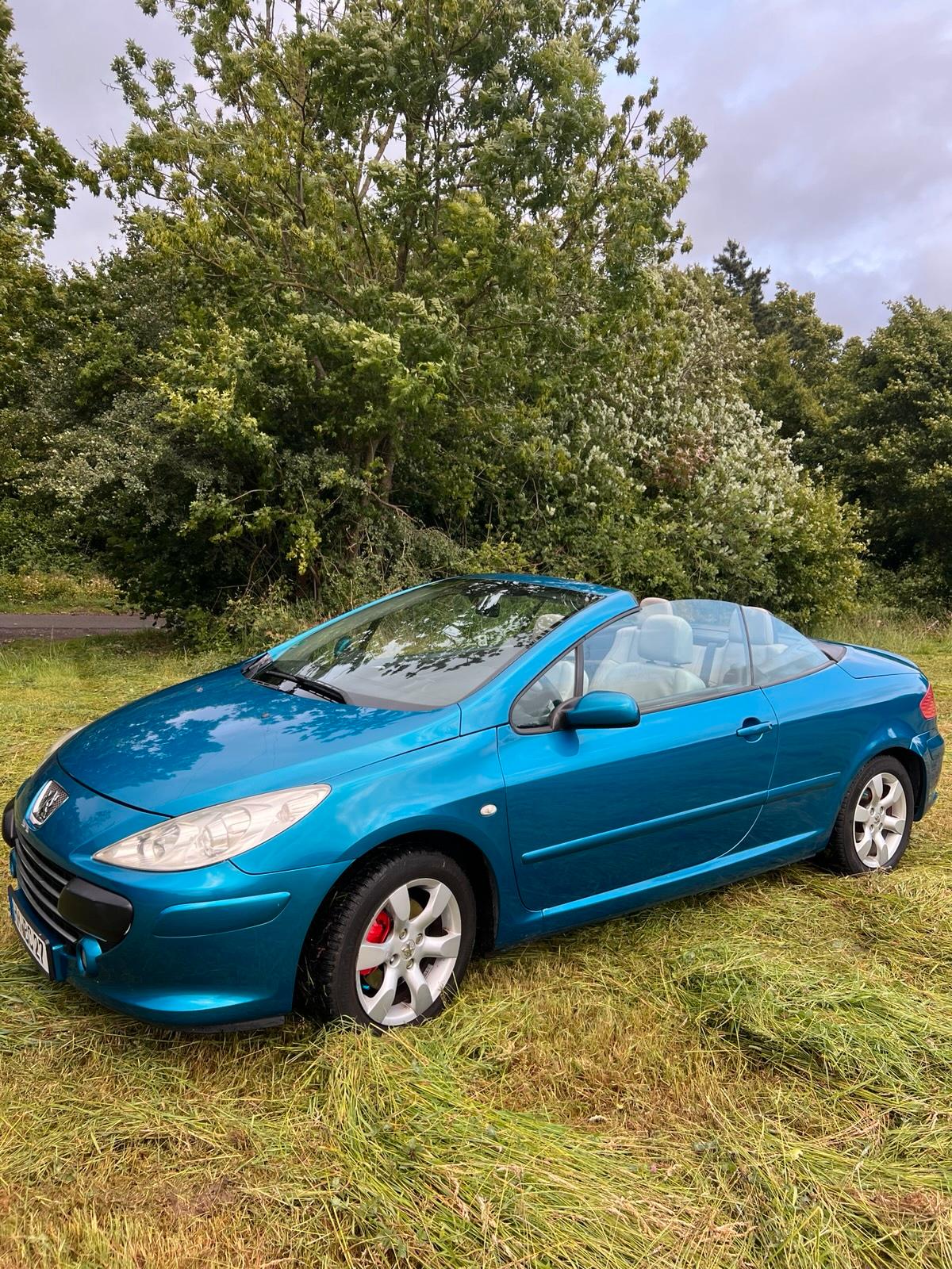 Abbildung des Autos Peugeot Cabriolet 307cc …