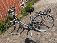 Damen Fahrrad Herkules Niedersachsen - Hildesheim Vorschau