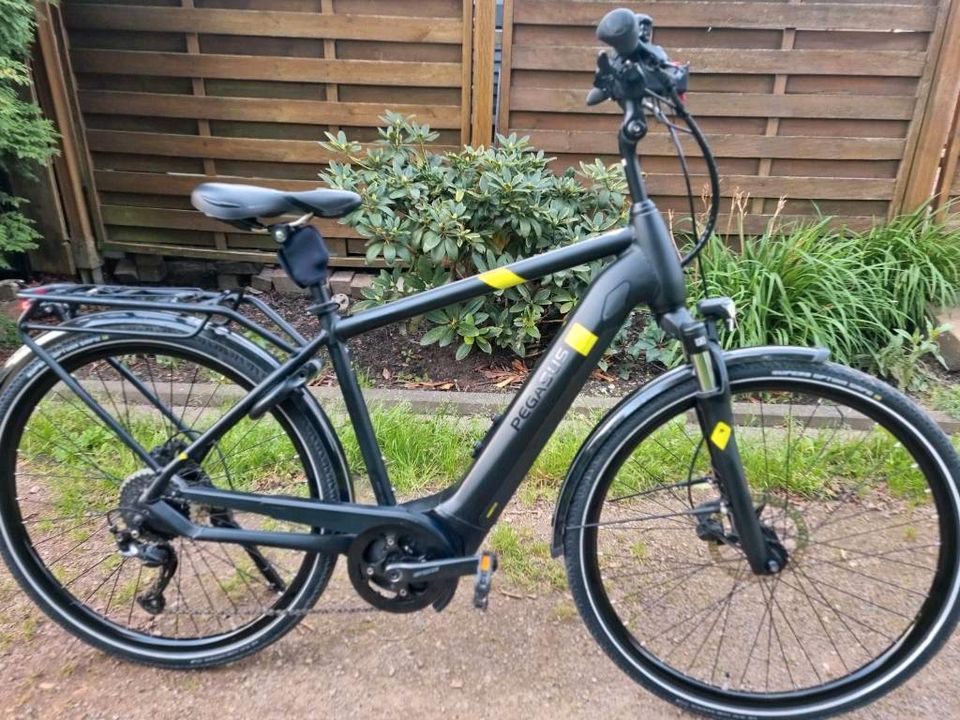 E-Bike Pegasus Evo Boschmotor in Duisburg