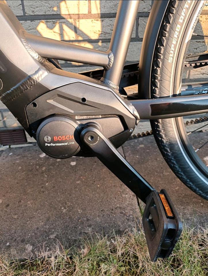 E-Bike Pegasus RH50cm, 28Zoll, inkl. Schloss,Tasche,Spiegel  etc. in Diepholz