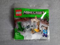 LEGO Minecraft 30647 Die Tropfsteinhöhle Polyback Originalverpack Bayern - Schwabach Vorschau
