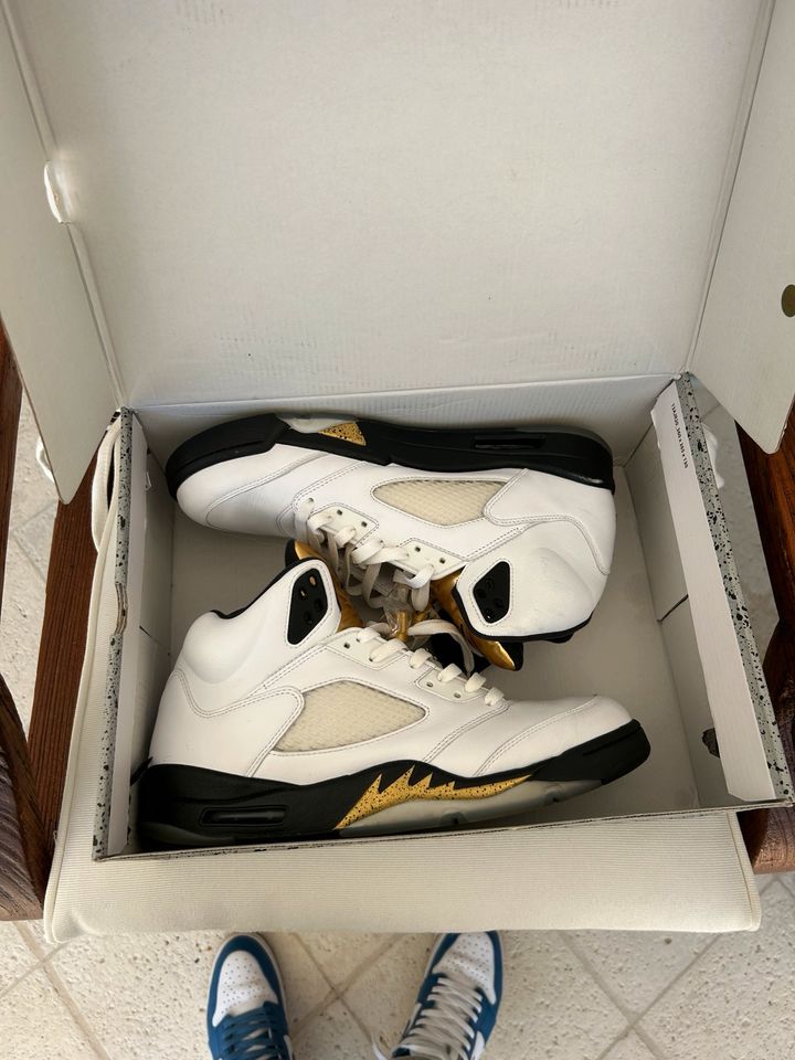 Jordan 5 Olympic Gr 45,5 in Bad Pyrmont