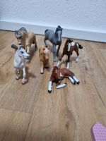 Schleich und Arbalon Pferde Wiesbaden - Mainz-Kostheim Vorschau