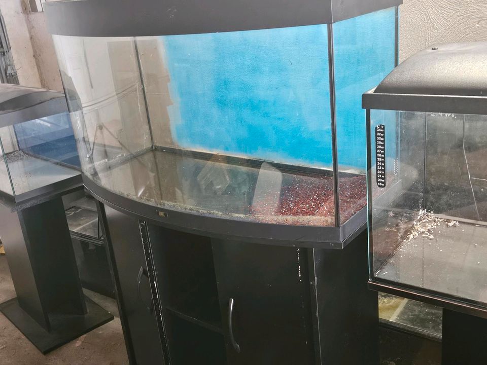 160 liter Vision aquarium in Geilenkirchen