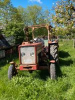 IHC 423 Schlepper 40 PS Rheinland-Pfalz - Eisenberg  Vorschau