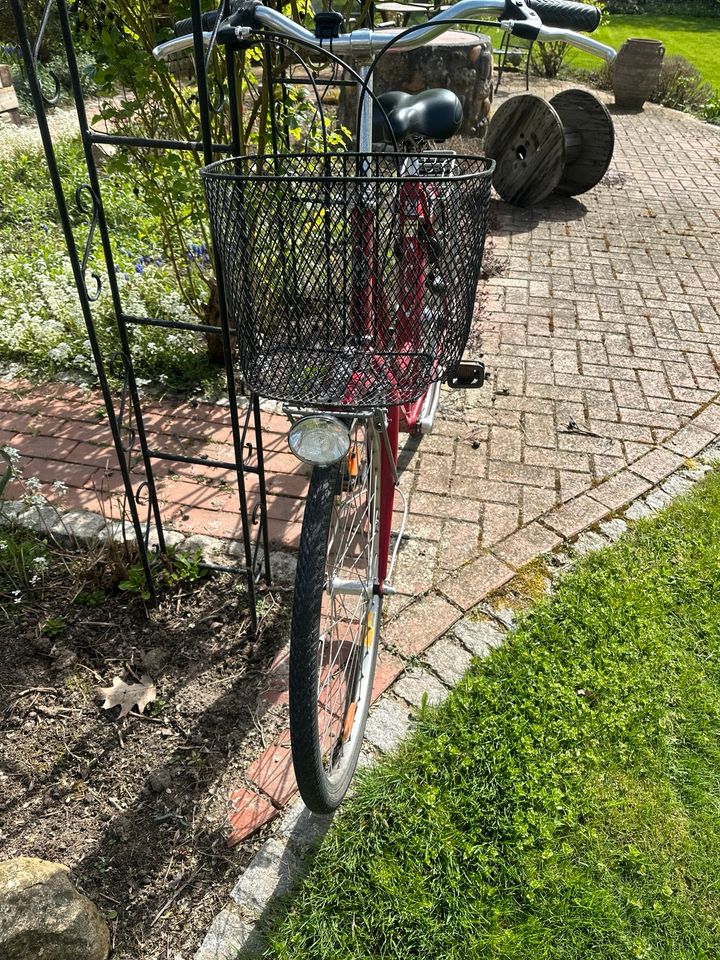 Fahrrad rot 28er Rahmen Hercules Damenfahrrad mit Korb in Edemissen