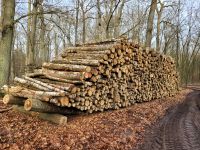 Kaminholz 3 m lang Brandenburg - Löwenberger Land-Grüneberg Vorschau