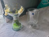 Leonardo Vasen 2 Stück Nordrhein-Westfalen - Ahlen Vorschau