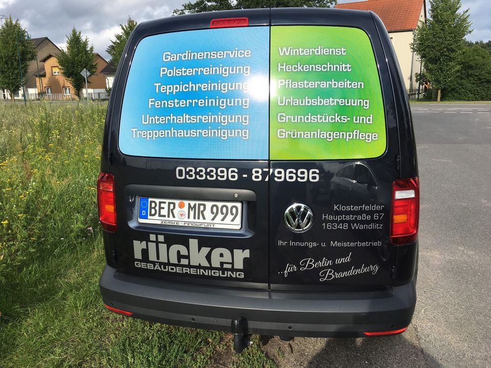 GARDINENSERVICE • FENSTER- • TEPPICH-  • POLSTERREINIGUNG in Wandlitz