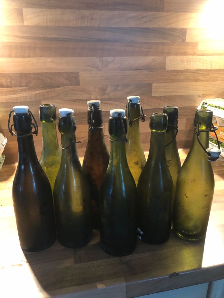 Alte Flaschen in Callenberg b Hohenstein-Ernstthal