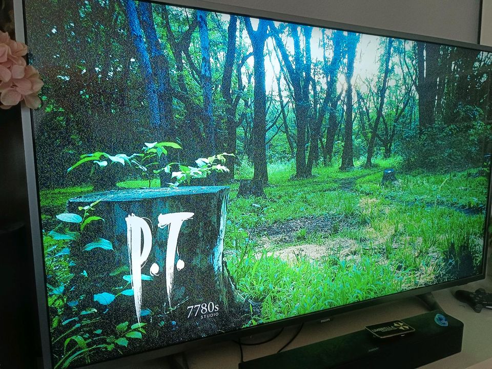 Playstation 4 slim 500gb mit P.T. in Würzburg