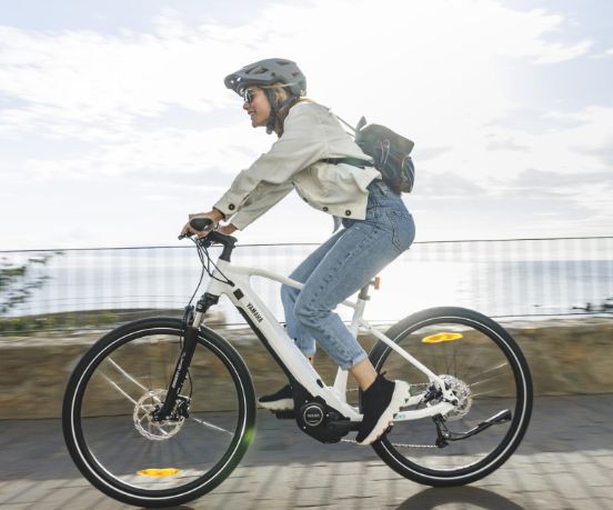 Yamaha Crosscore RC E-Bike in Neumarkt i.d.OPf.