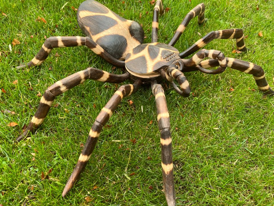 Spinne 40cm Holzspinne Tarantula Holz Terrarium Vogelspinne in Essen