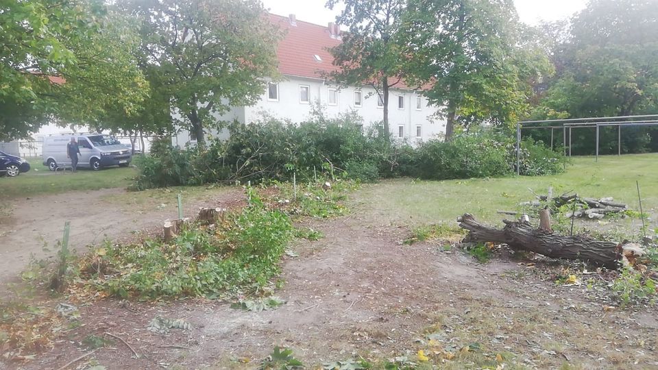 Hecke Entfernen in Sachsenburg