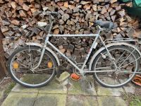 Vintage Fahrrad Diamant Original originaler Zustand Königs Wusterhausen - Senzig Vorschau