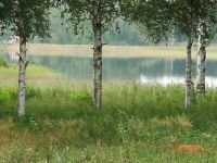 HAUS AM SEE-SCHWEDEN-KALMAR LÄN-ERDWÄRMEHEIZUNG... Schleswig-Holstein - Neumünster Vorschau