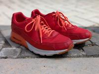 Nike Air Max 90 Hessen - Ortenberg Vorschau