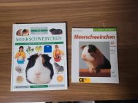 2 Meerschweinchen Bücher Hessen - Rimbach Vorschau