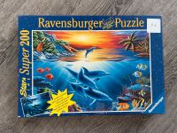 Puzzle Delfine mit Leucht-Effekt Niedersachsen - Salzhemmendorf Vorschau