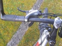 Fahrrad der Marke Bulls Bayern - Altmannstein Vorschau