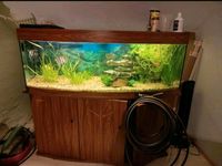 Aquarium 420l mit Unterschrank, Beleuchtung & Deckel Sachsen-Anhalt - Halle Vorschau