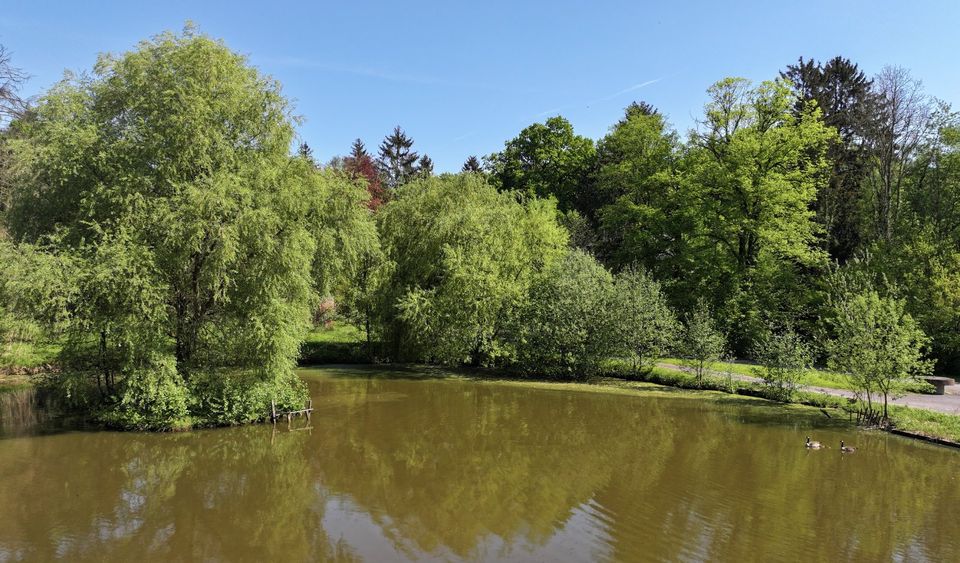 Herrenhaus am See mit eigener Heilquelle... in Hüllhorst