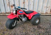 Honda ATC 200 S  Big Red Trike kein ATV Quad Sachsen - Bobritzsch-Hilbersdorf Vorschau
