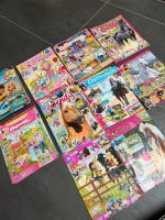 Versch. Comics Rheinland-Pfalz - Alzey Vorschau