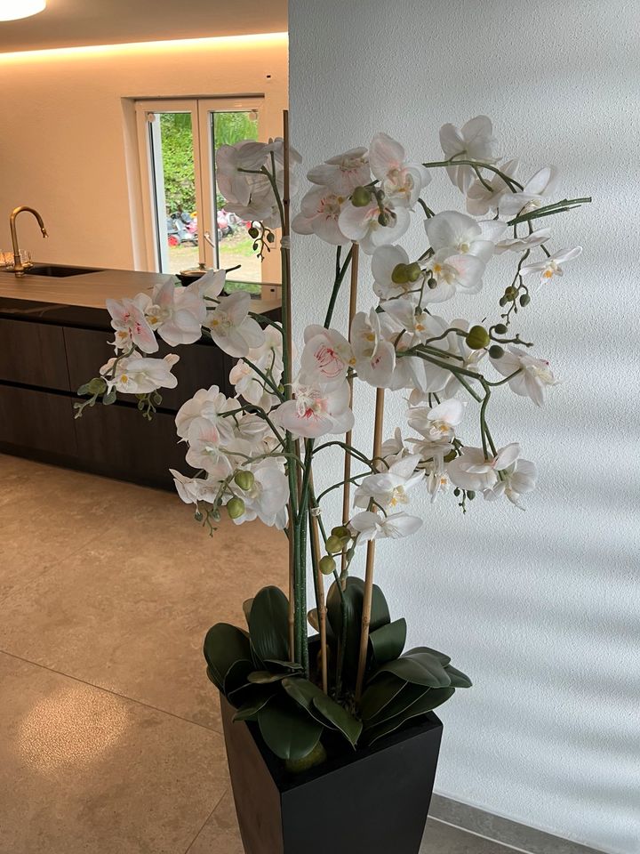 Sehr große Orchidee im Topf Kunstpflanze Haus deko in Traitsching