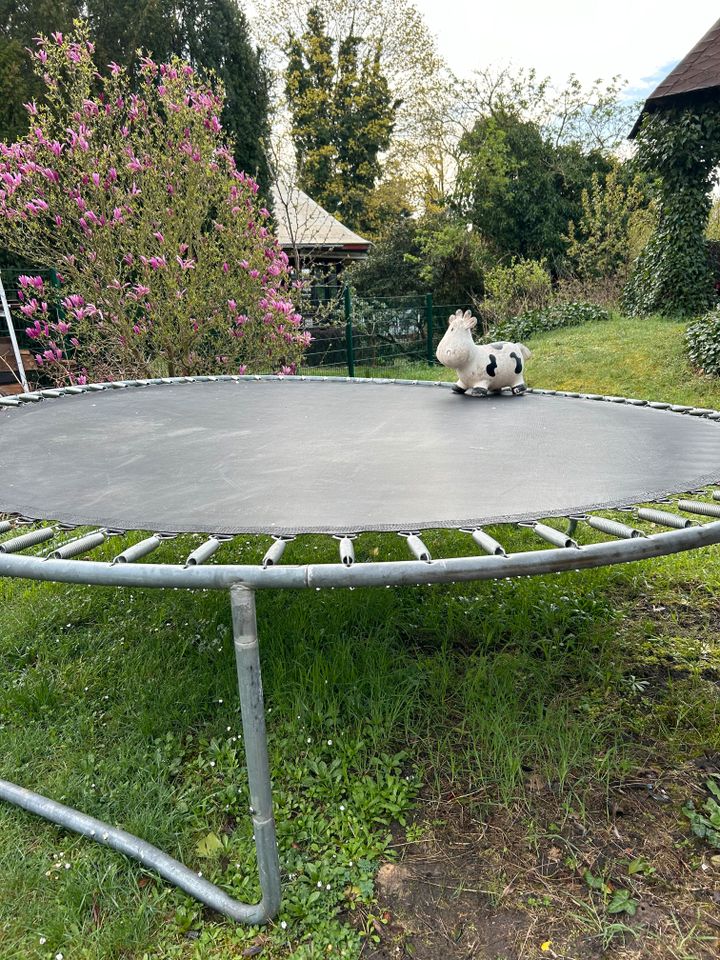 Xl Trampolin 3m Durchmesser noch aufgebaut für Erwachsene Kinder in Königs Wusterhausen