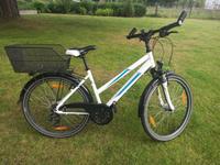 Pegasus Avanti 26 Zoll weiß Rahmen 44 cm Korb Shimano 21 Gang Brandenburg - Petershagen Vorschau