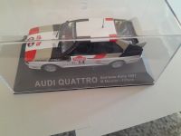 Audi Quattro Winner  M. Mouton, F. Pons Sanremo Rally 1981 1:43 Baden-Württemberg - Ravensburg Vorschau
