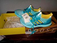 ZX Ultraboost 1.0 DNA Sachsen-Anhalt - Halle Vorschau