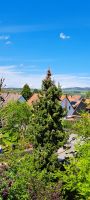 Moderne DG. Wohnung in Eckenhaid Bayern - Eckental  Vorschau