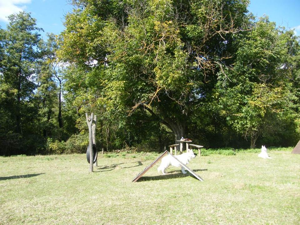 Kinder und Hunde willkommen, 3 Gehminuten z. Bad, eingez. Garten in Gangkofen