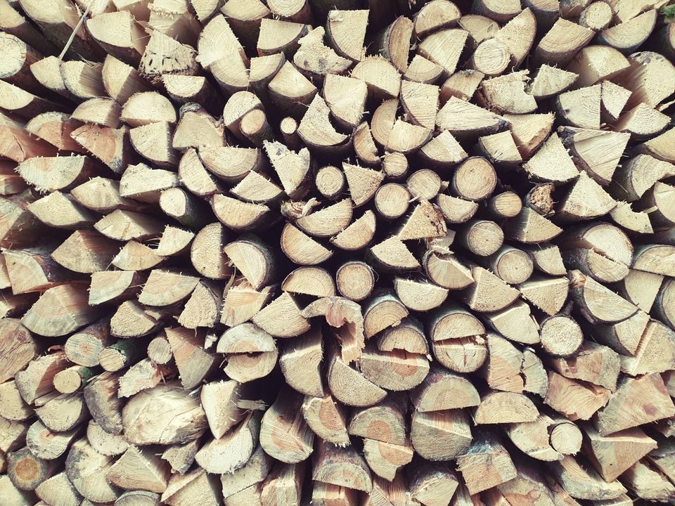 Brennholz trocken in Furth